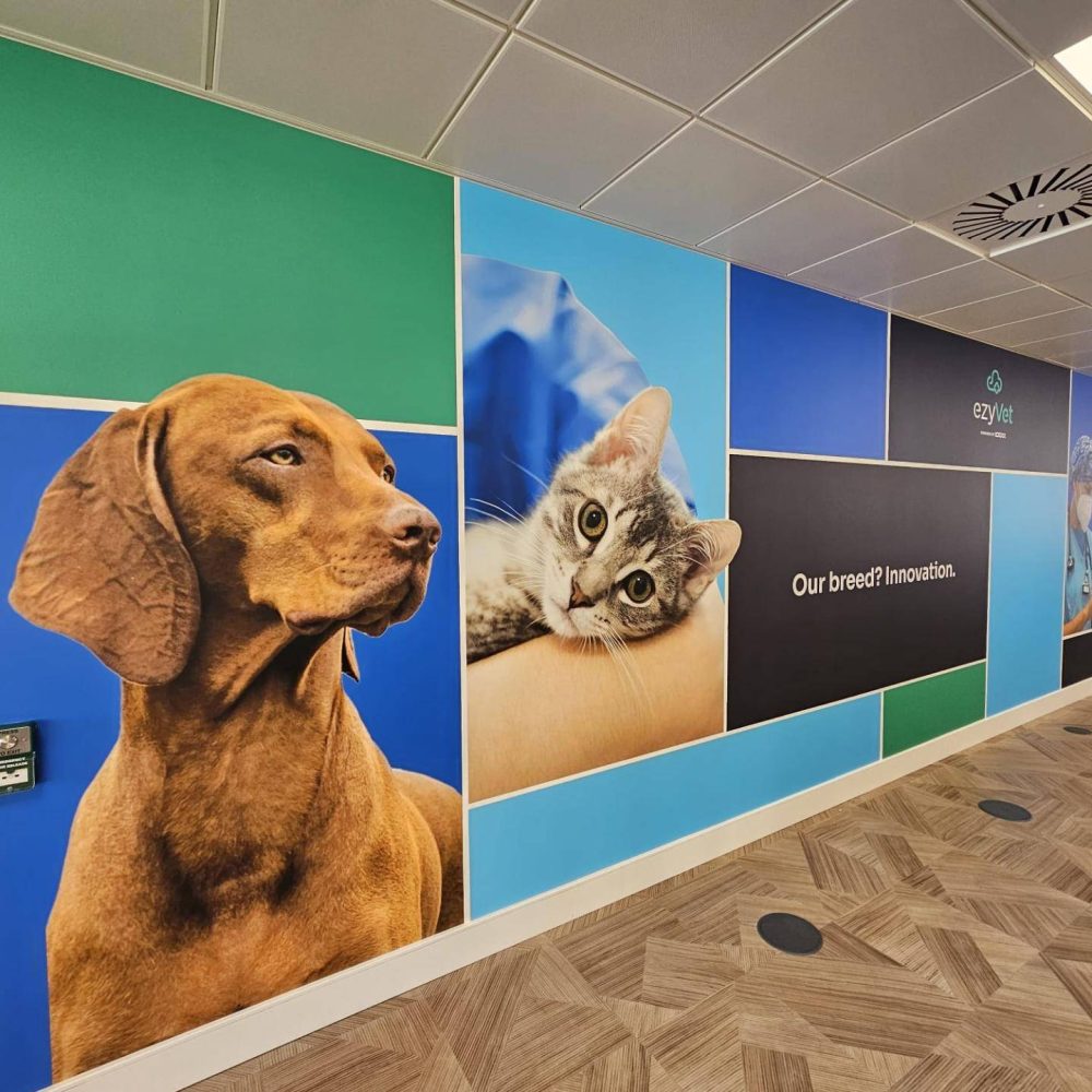 PHOTO-2024-05-24-13-32-27 1 PHOTO-2024-05-24-13-32-27 1