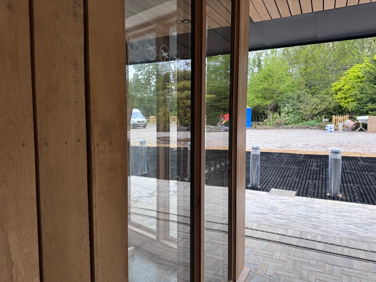 Dragonfly Manifestations 3