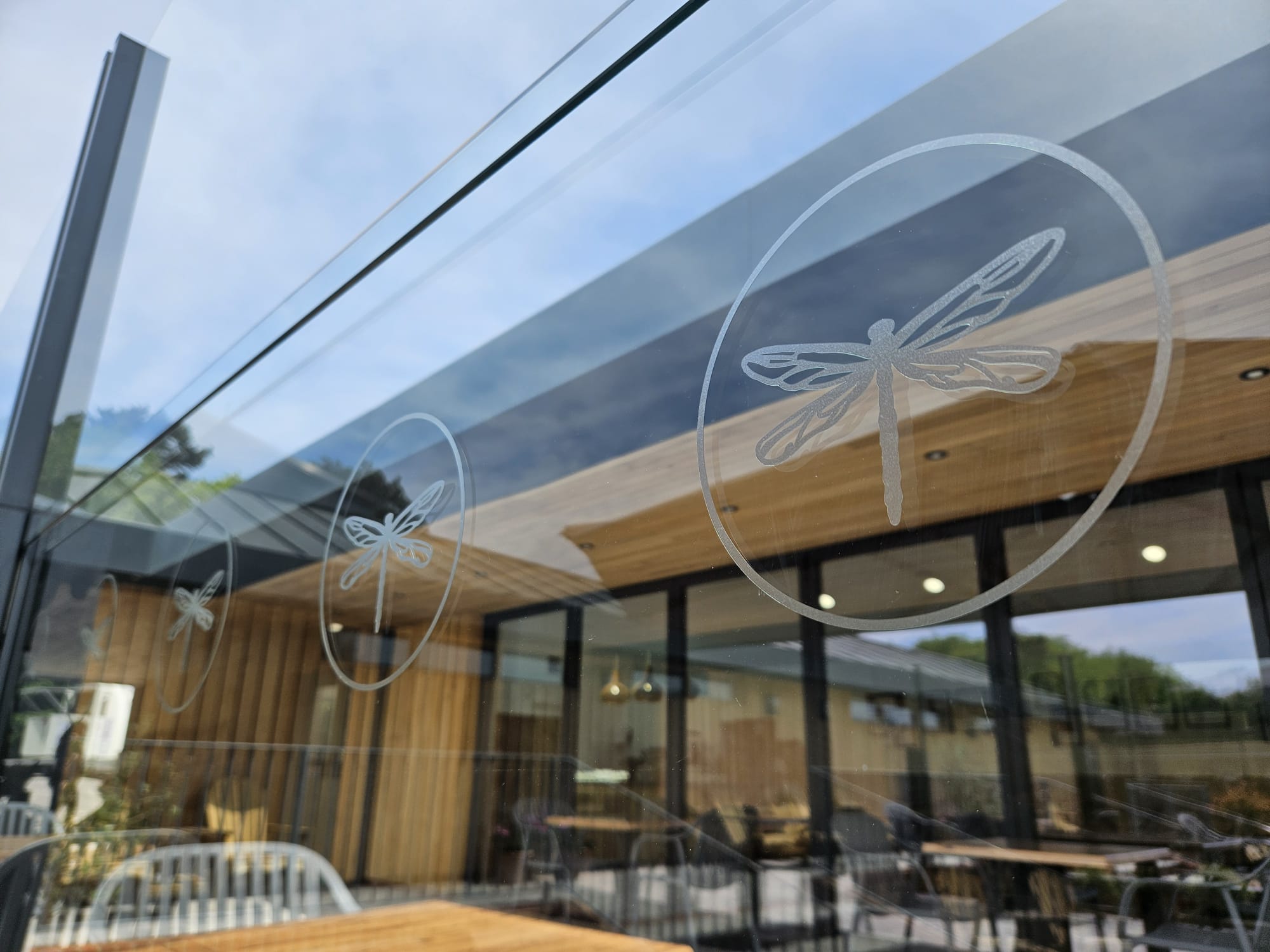 Dragonfly Manifestation