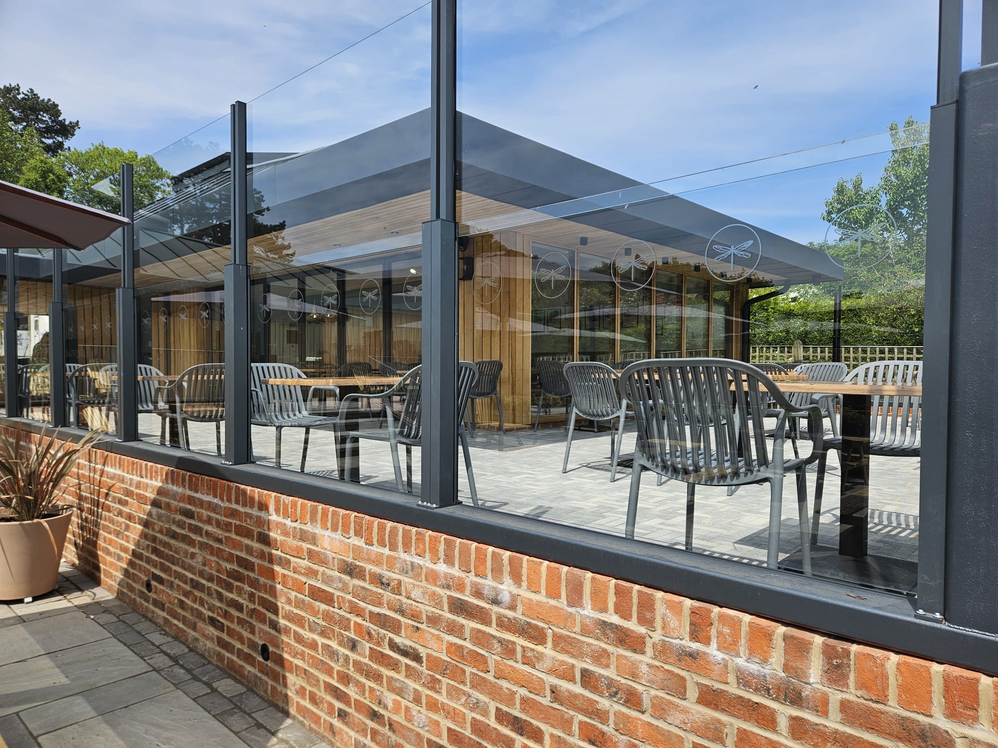 Dragonfly Glass Manifestations 2