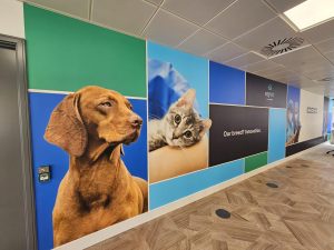 Wall Graphics